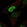 Anti-PDX1 Antibody