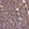 Anti-PSMF1 Antibody