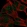 Anti-DUSP26 Antibody