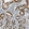 Anti-DNAJB12 Antibody