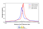 ChIP-Exo-Seq composite graph for Anti-CTCF (AMAb90663, Lot MAB-02590) tested in K562 cells. Strand-specific reads (blue: forward, red: reverse) and IgG controls (black: forward, grey: reverse) are plotted against the distance from a composite set of reference binding sites. The antibody exhibits robust target enrichment compared to a non-specific IgG control and precisely reveals its structural organization around the binding site. Data generated by Prof. B. F. Pugh´s Lab at Cornell University.