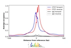ChIP-Exo-Seq composite graph for Anti-CTCF (AMAb90663, Lot MAB-02590) tested in K562 cells. Strand-specific reads (blue: forward, red: reverse) and IgG controls (black: forward, grey: reverse) are plotted against the distance from a composite set of reference binding sites. The antibody exhibits robust target enrichment compared to a non-specific IgG control and precisely reveals its structural organization around the binding site. Data generated by Prof. B. F. Pugh´s Lab at Cornell University.