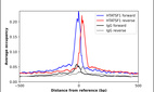 ChIP-Exo-Seq composite graph for Anti-HTATSF1 (HPA000504, Lot A00946) tested in K562 cells. Strand-specific reads (blue: forward, red: reverse) and IgG controls (black: forward, grey: reverse) are plotted against the distance from a composite set of reference binding sites. The antibody exhibits robust target enrichment compared to a non-specific IgG control and precisely reveals its structural organization around the binding site. Data generated by Prof. B. F. Pugh´s Lab at Cornell University.
