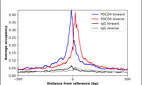 ChIP-Exo-Seq composite graph for Anti-PDCD4 (HPA001032, Lot B115902) tested in K562 cells. Strand-specific reads (blue: forward, red: reverse) and IgG controls (black: forward, grey: reverse) are plotted against the distance from a composite set of reference binding sites. The antibody exhibits robust target enrichment compared to a non-specific IgG control and precisely reveals its structural organization around the binding site. Data generated by Prof. B. F. Pugh´s Lab at Cornell University.