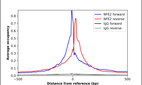 ChIP-Exo-Seq composite graph for Anti-NFE2 (HPA001914, Lot C115315) tested in K562 cells. Strand-specific reads (blue: forward, red: reverse) and IgG controls (black: forward, grey: reverse) are plotted against the distance from a composite set of reference binding sites. The antibody exhibits robust target enrichment compared to a non-specific IgG control and precisely reveals its structural organization around the binding site. Data generated by Prof. B. F. Pugh´s Lab at Cornell University.
