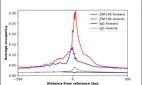 ChIP-Exo-Seq composite graph for Anti-ZNF146 (HPA003358, Lot A08848) tested in K562 cells. Strand-specific reads (blue: forward, red: reverse) and IgG controls (black: forward, grey: reverse) are plotted against the distance from a composite set of reference binding sites. The antibody exhibits robust target enrichment compared to a non-specific IgG control and precisely reveals its structural organization around the binding site. Data generated by Prof. B. F. Pugh´s Lab at Cornell University.
