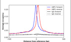 ChIP-Exo-Seq composite graph for Anti-UBP1 (HPA003967, Lot 000021652) tested in K562 cells. Strand-specific reads (blue: forward, red: reverse) and IgG controls (black: forward, grey: reverse) are plotted against the distance from a composite set of reference binding sites. The antibody exhibits robust target enrichment compared to a non-specific IgG control and precisely reveals its structural organization around the binding site. Data generated by Prof. B. F. Pugh´s Lab at Cornell University.
