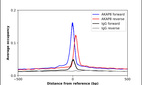 ChIP-Exo-Seq composite graph for Anti-AKAP8 (HPA004776, Lot 000049356) tested in K562 cells. Strand-specific reads (blue: forward, red: reverse) and IgG controls (black: forward, grey: reverse) are plotted against the distance from a composite set of reference binding sites. The antibody exhibits robust target enrichment compared to a non-specific IgG control and precisely reveals its structural organization around the binding site. Data generated by Prof. B. F. Pugh´s Lab at Cornell University.