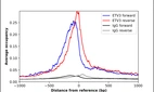 ChIP-Exo-Seq composite graph for Anti-ETV3 (HPA004794, Lot A114890) tested in K562 cells. Strand-specific reads (blue: forward, red: reverse) and IgG controls (black: forward, grey: reverse) are plotted against the distance from a composite set of reference binding sites. The antibody exhibits robust target enrichment compared to a non-specific IgG control and precisely reveals its structural organization around the binding site. Data generated by Prof. B. F. Pugh´s Lab at Cornell University.