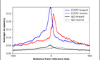 ChIP-Exo-Seq composite graph for Anti-CCNT2 (HPA005559, Lot A08480) tested in K562 cells. Strand-specific reads (blue: forward, red: reverse) and IgG controls (black: forward, grey: reverse) are plotted against the distance from a composite set of reference binding sites. The antibody exhibits robust target enrichment compared to a non-specific IgG control and precisely reveals its structural organization around the binding site. Data generated by Prof. B. F. Pugh´s Lab at Cornell University.