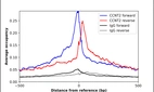ChIP-Exo-Seq composite graph for Anti-CCNT2 (HPA005559, Lot A08480) tested in K562 cells. Strand-specific reads (blue: forward, red: reverse) and IgG controls (black: forward, grey: reverse) are plotted against the distance from a composite set of reference binding sites. The antibody exhibits robust target enrichment compared to a non-specific IgG control and precisely reveals its structural organization around the binding site. Data generated by Prof. B. F. Pugh´s Lab at Cornell University.