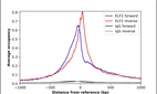 ChIP-Exo-Seq composite graph for Anti-ELF2 (HPA006057, Lot A106690) tested in K562 cells. Strand-specific reads (blue: forward, red: reverse) and IgG controls (black: forward, grey: reverse) are plotted against the distance from a composite set of reference binding sites. The antibody exhibits robust target enrichment compared to a non-specific IgG control and precisely reveals its structural organization around the binding site. Data generated by Prof. B. F. Pugh´s Lab at Cornell University.