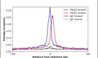 ChIP-Exo-Seq composite graph for Anti-TSHZ1 (HPA006982, Lot 000011970) tested in K562 cells. Strand-specific reads (blue: forward, red: reverse) and IgG controls (black: forward, grey: reverse) are plotted against the distance from a composite set of reference binding sites. The antibody exhibits robust target enrichment compared to a non-specific IgG control and precisely reveals its structural organization around the binding site. Data generated by Prof. B. F. Pugh´s Lab at Cornell University.