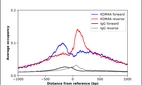 ChIP-Exo-Seq composite graph for Anti-KDM4A (HPA007610, Lot A115168) tested in K562 cells. Strand-specific reads (blue: forward, red: reverse) and IgG controls (black: forward, grey: reverse) are plotted against the distance from a composite set of reference binding sites. The antibody exhibits robust target enrichment compared to a non-specific IgG control and precisely reveals its structural organization around the binding site. Data generated by Prof. B. F. Pugh´s Lab at Cornell University.