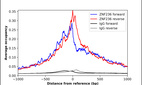 ChIP-Exo-Seq composite graph for Anti-ZNF236 (HPA008600, Lot R02341) tested in K562 cells. Strand-specific reads (blue: forward, red: reverse) and IgG controls (black: forward, grey: reverse) are plotted against the distance from a composite set of reference binding sites. The antibody exhibits robust target enrichment compared to a non-specific IgG control and precisely reveals its structural organization around the binding site. Data generated by Prof. B. F. Pugh´s Lab at Cornell University.