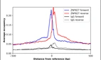 ChIP-Exo-Seq composite graph for Anti-ZNF827 (HPA021166, Lot 000038663) tested in K562 cells. Strand-specific reads (blue: forward, red: reverse) and IgG controls (black: forward, grey: reverse) are plotted against the distance from a composite set of reference binding sites. The antibody exhibits robust target enrichment compared to a non-specific IgG control and precisely reveals its structural organization around the binding site. Data generated by Prof. B. F. Pugh´s Lab at Cornell University.