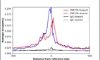 ChIP-Exo-Seq composite graph for Anti-ZNF276 (HPA021309, Lot R09306) tested in K562 cells. Strand-specific reads (blue: forward, red: reverse) and IgG controls (black: forward, grey: reverse) are plotted against the distance from a composite set of reference binding sites. The antibody exhibits robust target enrichment compared to a non-specific IgG control and precisely reveals its structural organization around the binding site. Data generated by Prof. B. F. Pugh´s Lab at Cornell University.