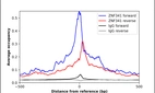 ChIP-Exo-Seq composite graph for Anti-ZNF341 (HPA023240, Lot R09644) tested in K562 cells. Strand-specific reads (blue: forward, red: reverse) and IgG controls (black: forward, grey: reverse) are plotted against the distance from a composite set of reference binding sites. The antibody exhibits robust target enrichment compared to a non-specific IgG control and precisely reveals its structural organization around the binding site. Data generated by Prof. B. F. Pugh´s Lab at Cornell University.