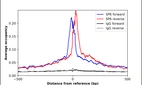 ChIP-Exo-Seq composite graph for Anti-SP6 (HPA024516, Lot 000012262) tested in K562 cells. Strand-specific reads (blue: forward, red: reverse) and IgG controls (black: forward, grey: reverse) are plotted against the distance from a composite set of reference binding sites. The antibody exhibits robust target enrichment compared to a non-specific IgG control and precisely reveals its structural organization around the binding site. Data generated by Prof. B. F. Pugh´s Lab at Cornell University.