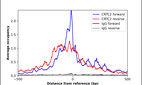 ChIP-Exo-Seq composite graph for Anti-CRTC2 (HPA028465, Lot A106635) tested in K562 cells. Strand-specific reads (blue: forward, red: reverse) and IgG controls (black: forward, grey: reverse) are plotted against the distance from a composite set of reference binding sites. The antibody exhibits robust target enrichment compared to a non-specific IgG control and precisely reveals its structural organization around the binding site. Data generated by Prof. B. F. Pugh´s Lab at Cornell University.