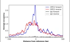 ChIP-Exo-Seq composite graph for Anti-CRTC2 (HPA028465, Lot A106635) tested in K562 cells. Strand-specific reads (blue: forward, red: reverse) and IgG controls (black: forward, grey: reverse) are plotted against the distance from a composite set of reference binding sites. The antibody exhibits robust target enrichment compared to a non-specific IgG control and precisely reveals its structural organization around the binding site. Data generated by Prof. B. F. Pugh´s Lab at Cornell University.