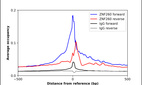 ChIP-Exo-Seq composite graph for Anti-ZNF260 (HPA028806, Lot R30271) tested in K562 cells. Strand-specific reads (blue: forward, red: reverse) and IgG controls (black: forward, grey: reverse) are plotted against the distance from a composite set of reference binding sites. The antibody exhibits robust target enrichment compared to a non-specific IgG control and precisely reveals its structural organization around the binding site. Data generated by Prof. B. F. Pugh´s Lab at Cornell University.