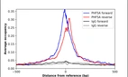 ChIP-Exo-Seq composite graph for Anti-PHF5A (HPA028885, Lot 000052488) tested in K562 cells. Strand-specific reads (blue: forward, red: reverse) and IgG controls (black: forward, grey: reverse) are plotted against the distance from a composite set of reference binding sites. The antibody exhibits robust target enrichment compared to a non-specific IgG control and precisely reveals its structural organization around the binding site. Data generated by Prof. B. F. Pugh´s Lab at Cornell University.