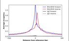 ChIP-Exo-Seq composite graph for Anti-BHLHE40 (HPA028922, Lot 000044052) tested in K562 cells. Strand-specific reads (blue: forward, red: reverse) and IgG controls (black: forward, grey: reverse) are plotted against the distance from a composite set of reference binding sites. The antibody exhibits robust target enrichment compared to a non-specific IgG control and precisely reveals its structural organization around the binding site. Data generated by Prof. B. F. Pugh´s Lab at Cornell University.