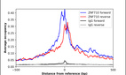 ChIP-Exo-Seq composite graph for Anti-ZNF710 (HPA030228, Lot R28715) tested in K562 cells. Strand-specific reads (blue: forward, red: reverse) and IgG controls (black: forward, grey: reverse) are plotted against the distance from a composite set of reference binding sites. The antibody exhibits robust target enrichment compared to a non-specific IgG control and precisely reveals its structural organization around the binding site. Data generated by Prof. B. F. Pugh´s Lab at Cornell University.