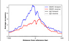 ChIP-Exo-Seq composite graph for Anti-DEAF1 (HPA030302, Lot 000053969) tested in K562 cells. Strand-specific reads (blue: forward, red: reverse) and IgG controls (black: forward, grey: reverse) are plotted against the distance from a composite set of reference binding sites. The antibody exhibits robust target enrichment compared to a non-specific IgG control and precisely reveals its structural organization around the binding site. Data generated by Prof. B. F. Pugh´s Lab at Cornell University.