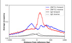 ChIP-Exo-Seq composite graph for Anti-ZNF711 (HPA030654, Lot E117954) tested in K562 cells. Strand-specific reads (blue: forward, red: reverse) and IgG controls (black: forward, grey: reverse) are plotted against the distance from a composite set of reference binding sites. The antibody exhibits robust target enrichment compared to a non-specific IgG control and precisely reveals its structural organization around the binding site. Data generated by Prof. B. F. Pugh´s Lab at Cornell University.