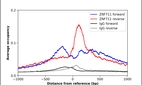 ChIP-Exo-Seq composite graph for Anti-ZNF711 (HPA030654, Lot E117954) tested in K562 cells. Strand-specific reads (blue: forward, red: reverse) and IgG controls (black: forward, grey: reverse) are plotted against the distance from a composite set of reference binding sites. The antibody exhibits robust target enrichment compared to a non-specific IgG control and precisely reveals its structural organization around the binding site. Data generated by Prof. B. F. Pugh´s Lab at Cornell University.
