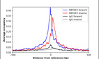 ChIP-Exo-Seq composite graph for Anti-RBFOX3 (HPA030790, Lot 000048408) tested in K562 cells. Strand-specific reads (blue: forward, red: reverse) and IgG controls (black: forward, grey: reverse) are plotted against the distance from a composite set of reference binding sites. The antibody exhibits robust target enrichment compared to a non-specific IgG control and precisely reveals its structural organization around the binding site. Data generated by Prof. B. F. Pugh´s Lab at Cornell University.