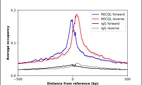 ChIP-Exo-Seq composite graph for Anti-RECQL (HPA030960, Lot R33028) tested in K562 cells. Strand-specific reads (blue: forward, red: reverse) and IgG controls (black: forward, grey: reverse) are plotted against the distance from a composite set of reference binding sites. The antibody exhibits robust target enrichment compared to a non-specific IgG control and precisely reveals its structural organization around the binding site. Data generated by Prof. B. F. Pugh´s Lab at Cornell University.