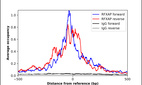 ChIP-Exo-Seq composite graph for Anti-RFXAP (HPA032035, Lot R32050) tested in K562 cells. Strand-specific reads (blue: forward, red: reverse) and IgG controls (black: forward, grey: reverse) are plotted against the distance from a composite set of reference binding sites. The antibody exhibits robust target enrichment compared to a non-specific IgG control and precisely reveals its structural organization around the binding site. Data generated by Prof. B. F. Pugh´s Lab at Cornell University.