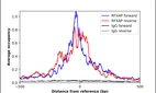 ChIP-Exo-Seq composite graph for Anti-RFXAP (HPA032035, Lot R32050) tested in K562 cells. Strand-specific reads (blue: forward, red: reverse) and IgG controls (black: forward, grey: reverse) are plotted against the distance from a composite set of reference binding sites. The antibody exhibits robust target enrichment compared to a non-specific IgG control and precisely reveals its structural organization around the binding site. Data generated by Prof. B. F. Pugh´s Lab at Cornell University.