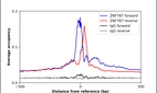 ChIP-Exo-Seq composite graph for Anti-ZNF787 (HPA035140, Lot R32462) tested in K562 cells. Strand-specific reads (blue: forward, red: reverse) and IgG controls (black: forward, grey: reverse) are plotted against the distance from a composite set of reference binding sites. The antibody exhibits robust target enrichment compared to a non-specific IgG control and precisely reveals its structural organization around the binding site. Data generated by Prof. B. F. Pugh´s Lab at Cornell University.