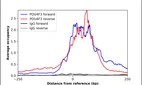 ChIP-Exo-Seq composite graph for Anti-POU4F3 (HPA038215, Lot A104453) tested in K562 cells. Strand-specific reads (blue: forward, red: reverse) and IgG controls (black: forward, grey: reverse) are plotted against the distance from a composite set of reference binding sites. The antibody exhibits robust target enrichment compared to a non-specific IgG control and precisely reveals its structural organization around the binding site. Data generated by Prof. B. F. Pugh´s Lab at Cornell University.