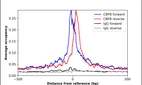 ChIP-Exo-Seq composite graph for Anti-CBFB (HPA038852, Lot 000049320) tested in K562 cells. Strand-specific reads (blue: forward, red: reverse) and IgG controls (black: forward, grey: reverse) are plotted against the distance from a composite set of reference binding sites. The antibody exhibits robust target enrichment compared to a non-specific IgG control and precisely reveals its structural organization around the binding site. Data generated by Prof. B. F. Pugh´s Lab at Cornell University.
