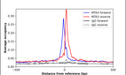 ChIP-Exo-Seq composite graph for Anti-MTA3 (HPA039433, Lot A105412) tested in K562 cells. Strand-specific reads (blue: forward, red: reverse) and IgG controls (black: forward, grey: reverse) are plotted against the distance from a composite set of reference binding sites. The antibody exhibits robust target enrichment compared to a non-specific IgG control and precisely reveals its structural organization around the binding site. Data generated by Prof. B. F. Pugh´s Lab at Cornell University.