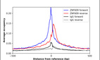 ChIP-Exo-Seq composite graph for Anti-ZNF609 (HPA040742, Lot R37063) tested in K562 cells. Strand-specific reads (blue: forward, red: reverse) and IgG controls (black: forward, grey: reverse) are plotted against the distance from a composite set of reference binding sites. The antibody exhibits robust target enrichment compared to a non-specific IgG control and precisely reveals its structural organization around the binding site. Data generated by Prof. B. F. Pugh´s Lab at Cornell University.