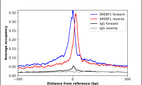 ChIP-Exo-Seq composite graph for Anti-SREBF1 (HPA043343, Lot A114351) tested in K562 cells. Strand-specific reads (blue: forward, red: reverse) and IgG controls (black: forward, grey: reverse) are plotted against the distance from a composite set of reference binding sites. The antibody exhibits robust target enrichment compared to a non-specific IgG control and precisely reveals its structural organization around the binding site. Data generated by Prof. B. F. Pugh´s Lab at Cornell University.
