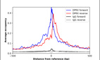 ChIP-Exo-Seq composite graph for Anti-DPRX (HPA043682, Lot R42032) tested in K562 cells. Strand-specific reads (blue: forward, red: reverse) and IgG controls (black: forward, grey: reverse) are plotted against the distance from a composite set of reference binding sites. The antibody exhibits robust target enrichment compared to a non-specific IgG control and precisely reveals its structural organization around the binding site. Data generated by Prof. B. F. Pugh´s Lab at Cornell University.