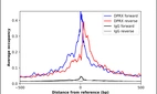 ChIP-Exo-Seq composite graph for Anti-DPRX (HPA043682, Lot R42032) tested in K562 cells. Strand-specific reads (blue: forward, red: reverse) and IgG controls (black: forward, grey: reverse) are plotted against the distance from a composite set of reference binding sites. The antibody exhibits robust target enrichment compared to a non-specific IgG control and precisely reveals its structural organization around the binding site. Data generated by Prof. B. F. Pugh´s Lab at Cornell University.