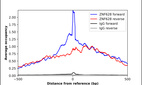 ChIP-Exo-Seq composite graph for Anti-ZNF628 (HPA044451, Lot R41228) tested in K562 cells. Strand-specific reads (blue: forward, red: reverse) and IgG controls (black: forward, grey: reverse) are plotted against the distance from a composite set of reference binding sites. The antibody exhibits robust target enrichment compared to a non-specific IgG control and precisely reveals its structural organization around the binding site. Data generated by Prof. B. F. Pugh´s Lab at Cornell University.