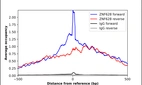 ChIP-Exo-Seq composite graph for Anti-ZNF628 (HPA044451, Lot R41228) tested in K562 cells. Strand-specific reads (blue: forward, red: reverse) and IgG controls (black: forward, grey: reverse) are plotted against the distance from a composite set of reference binding sites. The antibody exhibits robust target enrichment compared to a non-specific IgG control and precisely reveals its structural organization around the binding site. Data generated by Prof. B. F. Pugh´s Lab at Cornell University.
