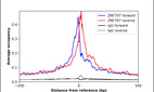 ChIP-Exo-Seq composite graph for Anti-ZNF707 (HPA044991, Lot 000024253) tested in K562 cells. Strand-specific reads (blue: forward, red: reverse) and IgG controls (black: forward, grey: reverse) are plotted against the distance from a composite set of reference binding sites. The antibody exhibits robust target enrichment compared to a non-specific IgG control and precisely reveals its structural organization around the binding site. Data generated by Prof. B. F. Pugh´s Lab at Cornell University.