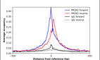 ChIP-Exo-Seq composite graph for Anti-PROX2 (HPA045057, Lot R40943) tested in K562 cells. Strand-specific reads (blue: forward, red: reverse) and IgG controls (black: forward, grey: reverse) are plotted against the distance from a composite set of reference binding sites. The antibody exhibits robust target enrichment compared to a non-specific IgG control and precisely reveals its structural organization around the binding site. Data generated by Prof. B. F. Pugh´s Lab at Cornell University.