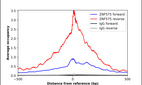 ChIP-Exo-Seq composite graph for Anti-ZNF575 (HPA051865, Lot R67214) tested in K562 cells. Strand-specific reads (blue: forward, red: reverse) and IgG controls (black: forward, grey: reverse) are plotted against the distance from a composite set of reference binding sites. The antibody exhibits robust target enrichment compared to a non-specific IgG control and precisely reveals its structural organization around the binding site. Data generated by Prof. B. F. Pugh´s Lab at Cornell University.