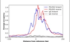 ChIP-Exo-Seq composite graph for Anti-POLR3G (HPA052658, Lot R69612) tested in K562 cells. Strand-specific reads (blue: forward, red: reverse) and IgG controls (black: forward, grey: reverse) are plotted against the distance from a composite set of reference binding sites. The antibody exhibits robust target enrichment compared to a non-specific IgG control and precisely reveals its structural organization around the binding site. Data generated by Prof. B. F. Pugh´s Lab at Cornell University.
